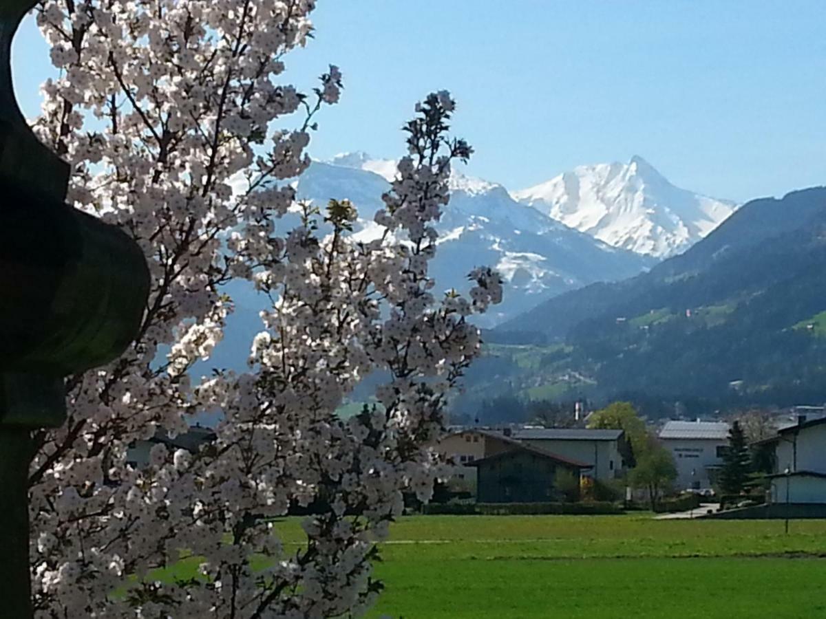 Apart Tyrol Uderns Exteriör bild